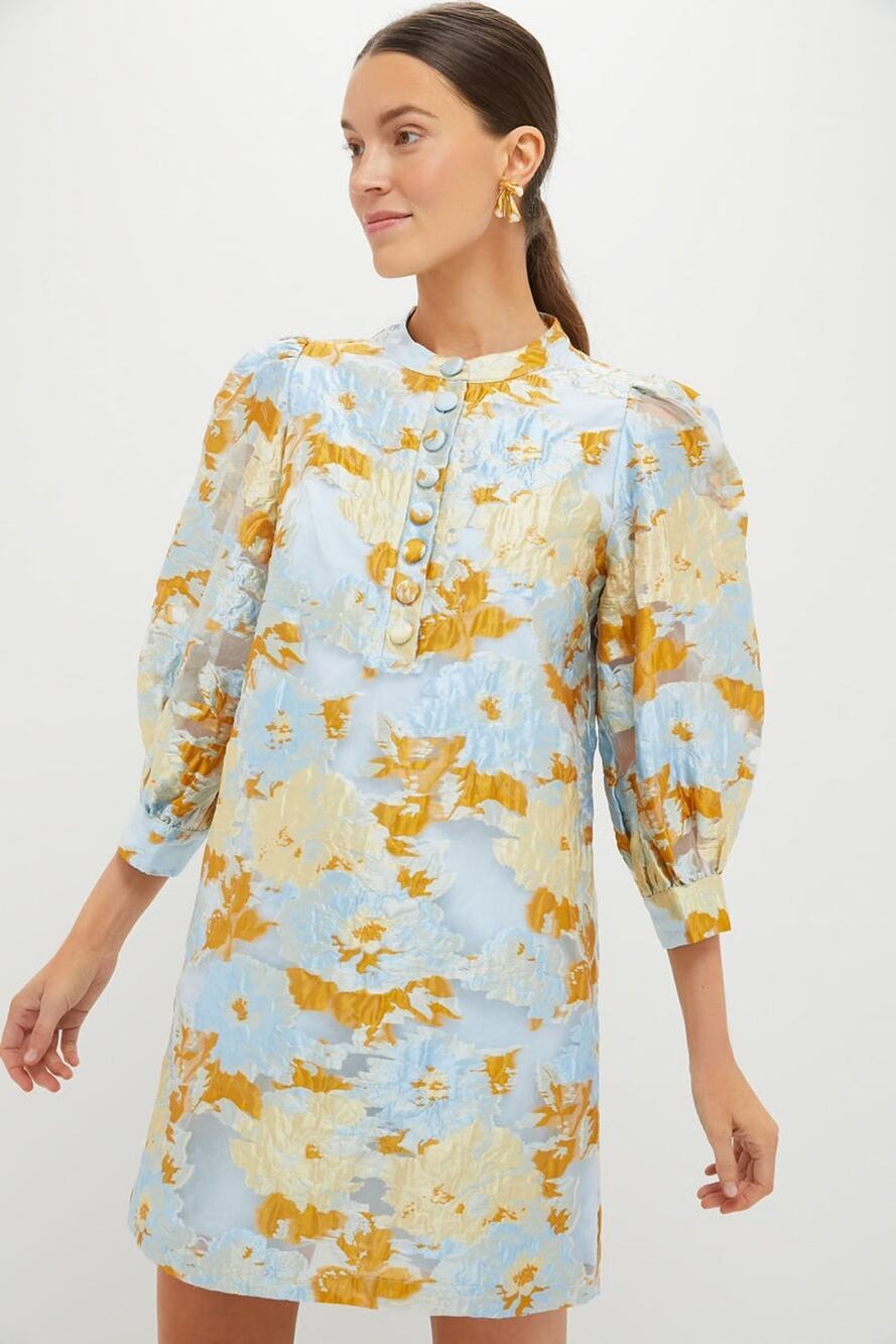 POMANDER PLACE Jessamine Jacquard Samantha Dress Size XL NWT